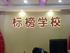 培訓機構形象墻制作_廈門標榜學校