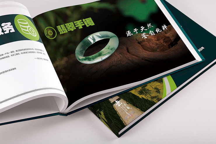 健康旅游管理公司招商畫冊(cè)設(shè)計(jì)