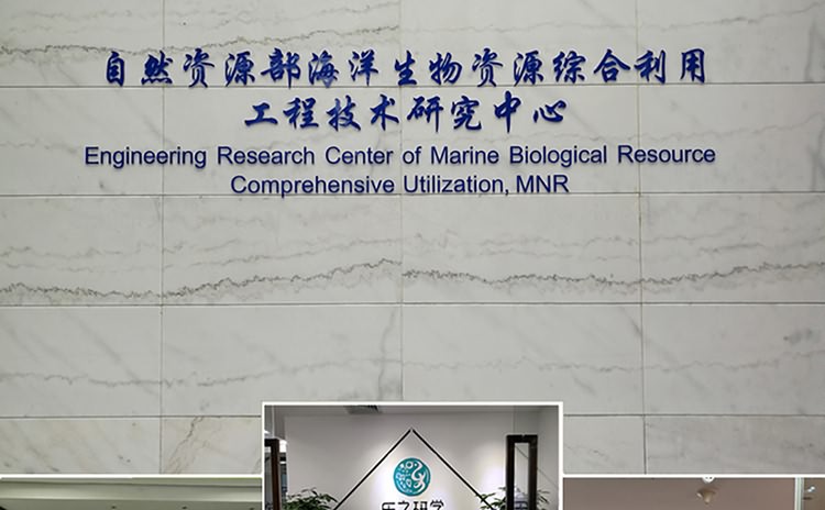 廈門形象墻設計制作公司提供形象墻設計企業(yè)背景墻制作公司形象墻設計LOGO墻制作，LOGO墻設計等服務擁有一流的前期設計企劃人員及專業(yè)的后期logo墻制作(企業(yè)背景墻制作)施工隊伍。